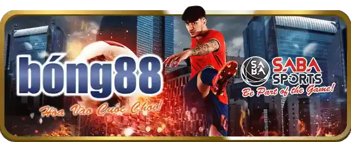 Ứng dụng di động PKWIN trên điện thoại